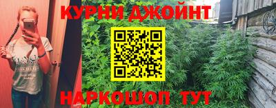 крисы Можайск